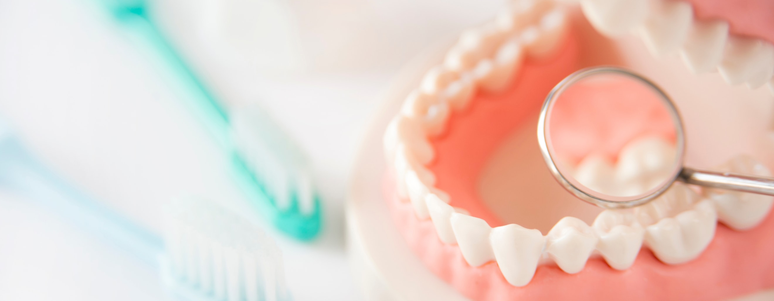 背景に歯ブラシが２本あり、歯の模型にデンタルミラーを当てて歯の裏側を見ている写真